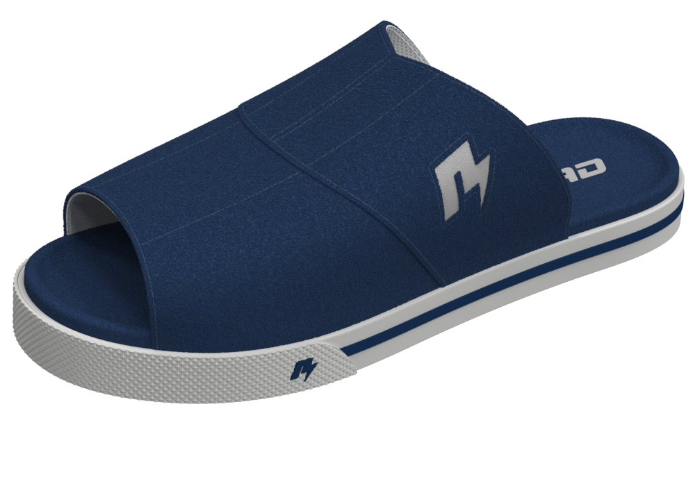 RAD slides Navy