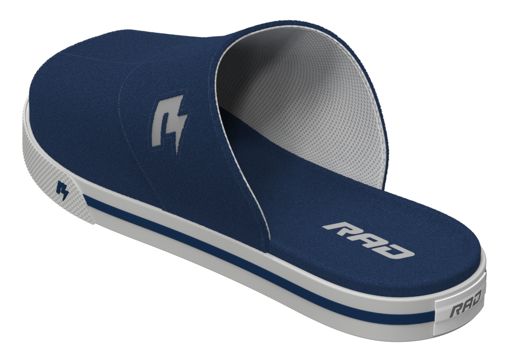 RAD slides Navy