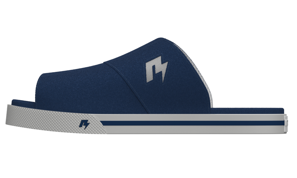 RAD slides Navy