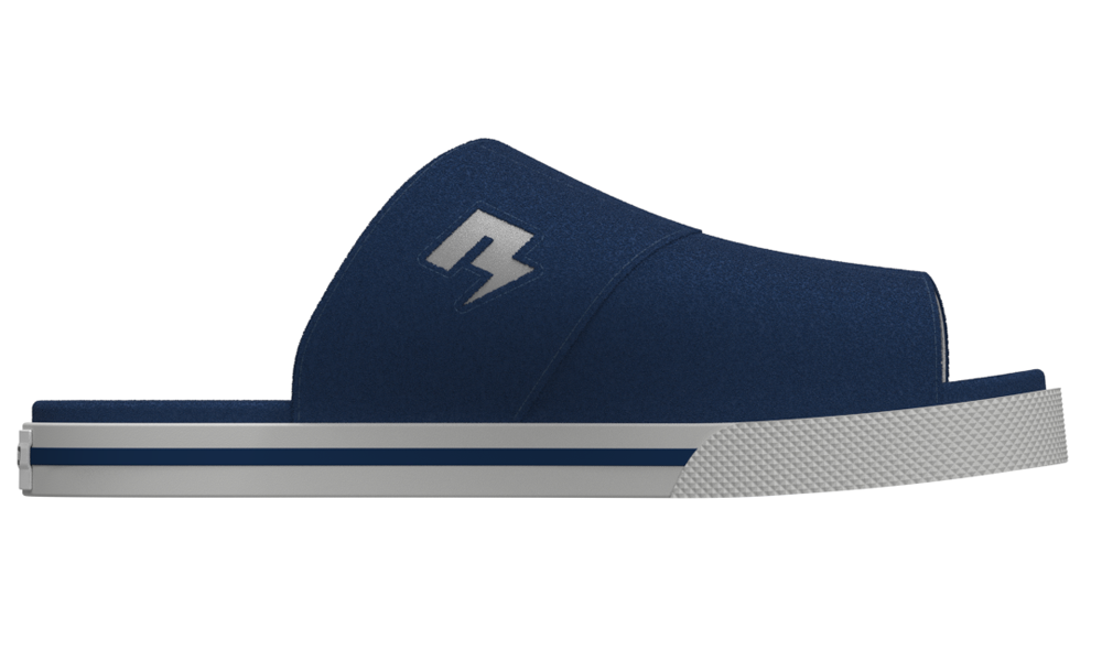 RAD slides Navy