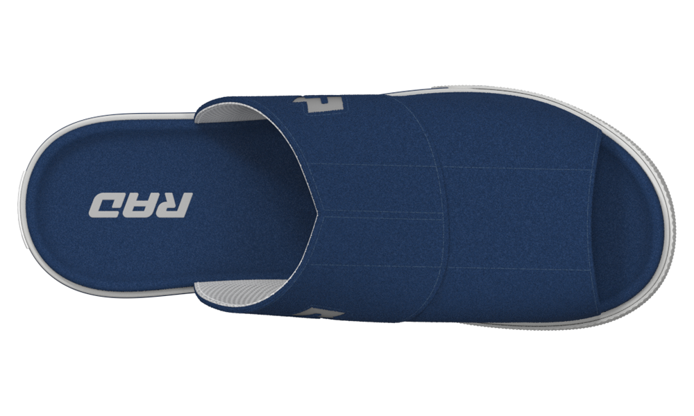RAD slides Navy